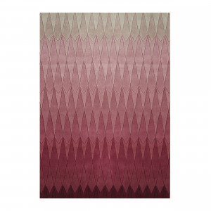 2000983242051 Ковер pink 200/300 LINIE DESIGN Acacia