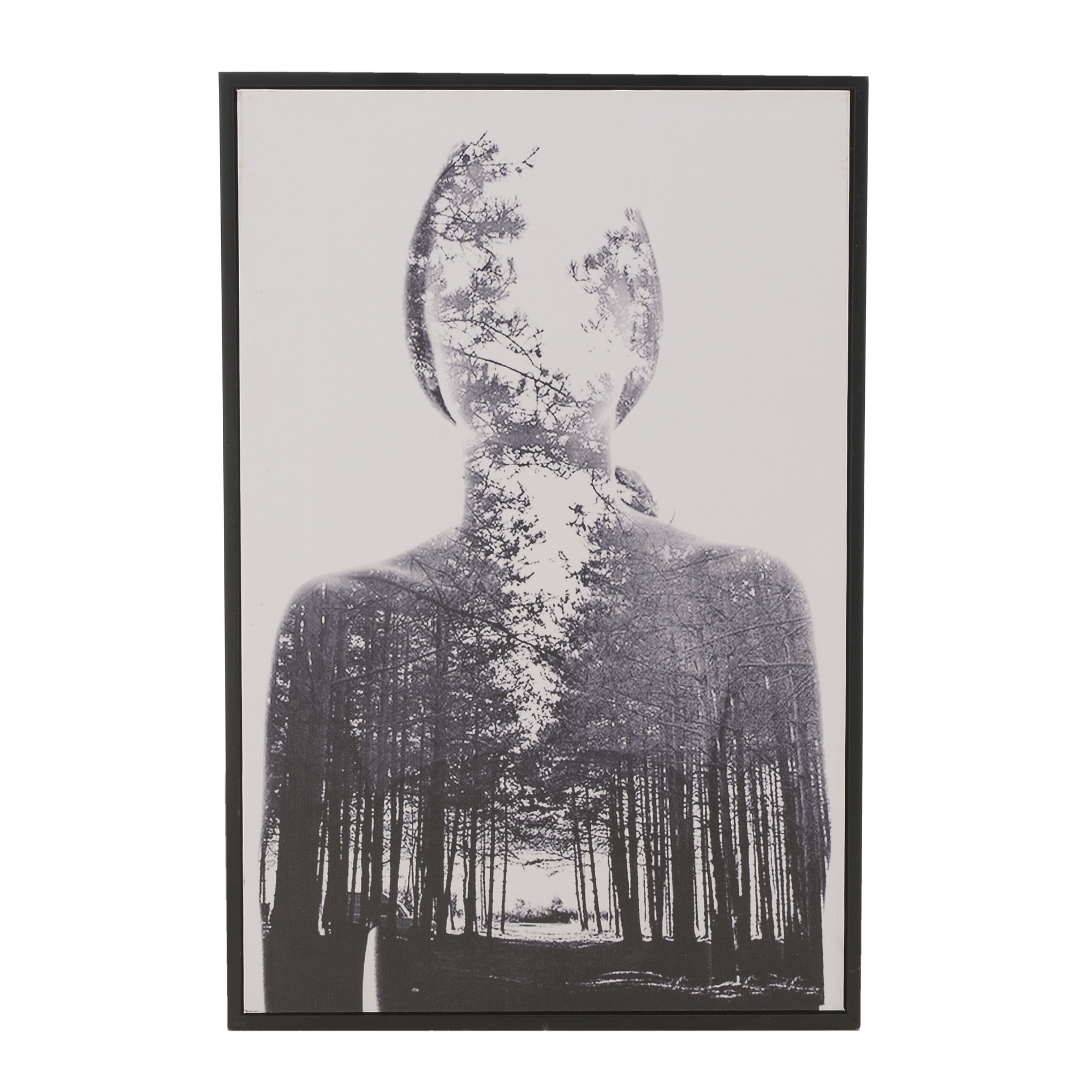 3890250.0014 ПРИНТ В РАМЕ TO4ROOMS 