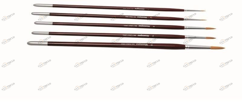 GAMMA PENNELLI Кисти для изобразительного искусства в toray Belle arti sun-id-1429578