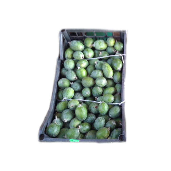 Фейхоа в ящике ~11 кг Santreyd 19510