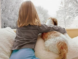 3M Italia Оконная пленка для солнечных батарей Protezione e sicurezza