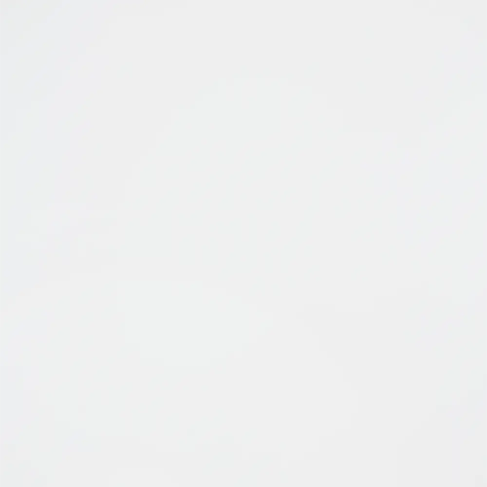 Стеновая панель Delinia Супер-белый для стильного интерьера 85342846