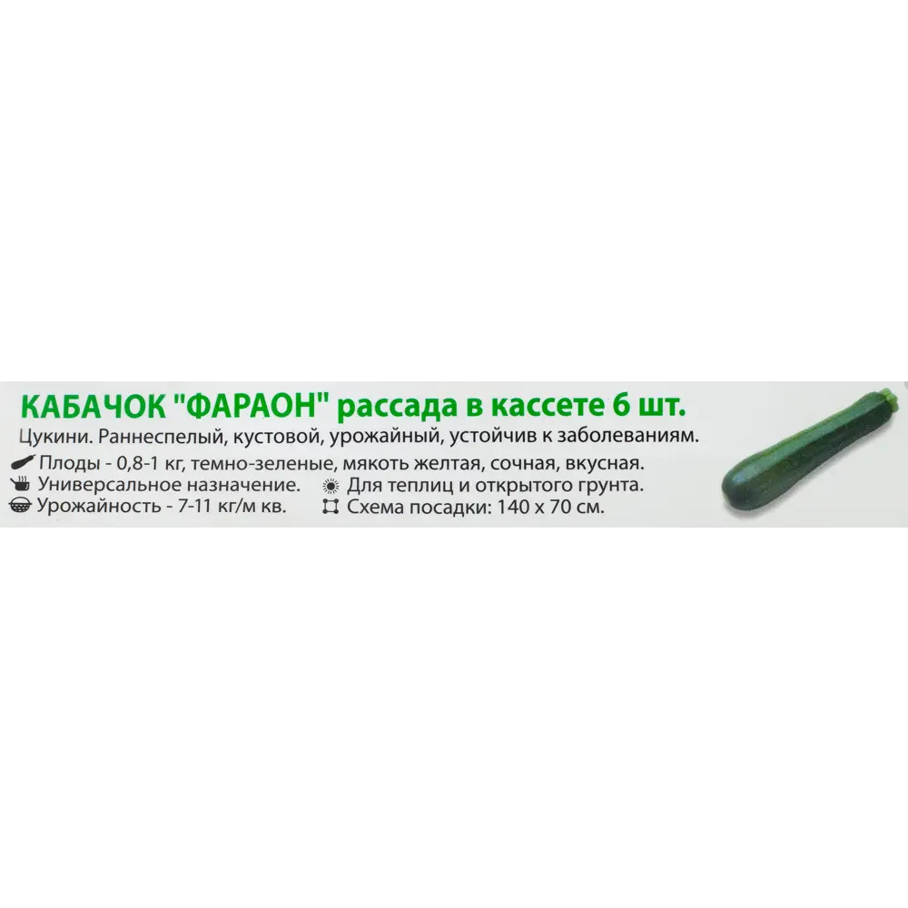 Кабачок, P6 Н15 12714019 STLM-2203803 Santreyd  - Вид №1