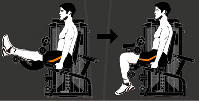 HLC400 Steel flex hope hlc400 сгибание ног сидя Steel Flex Hope - Вид №1