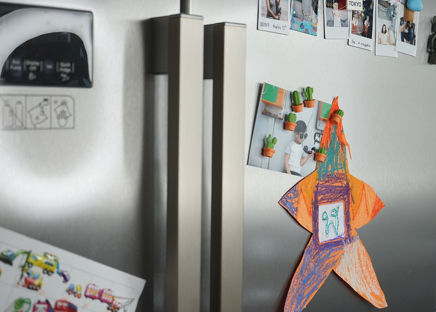 Магниты Cactus, 6 шт Qualy QL10288ORGN - Вид №5