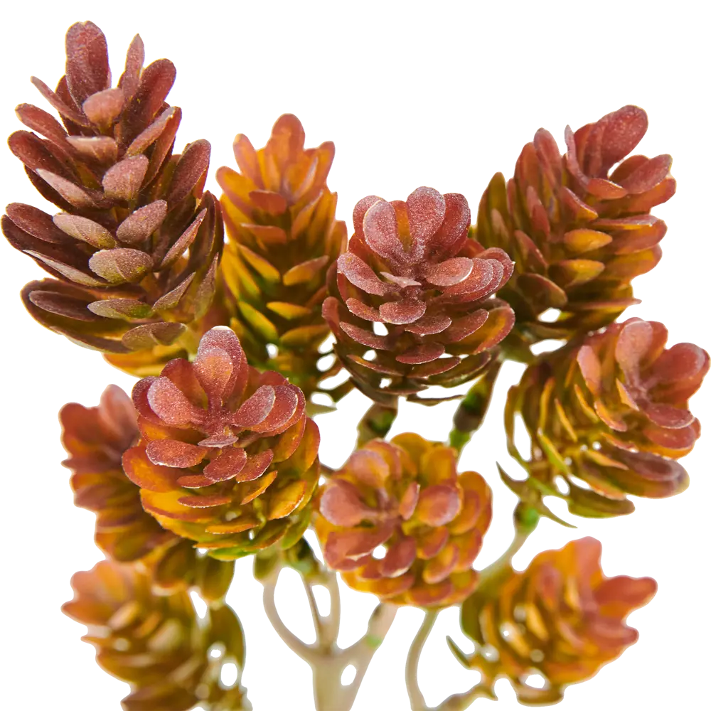 82839134 Ветка декоративная «Хмель» 40 см STLM-0814844 Santreyd  - Вид №2