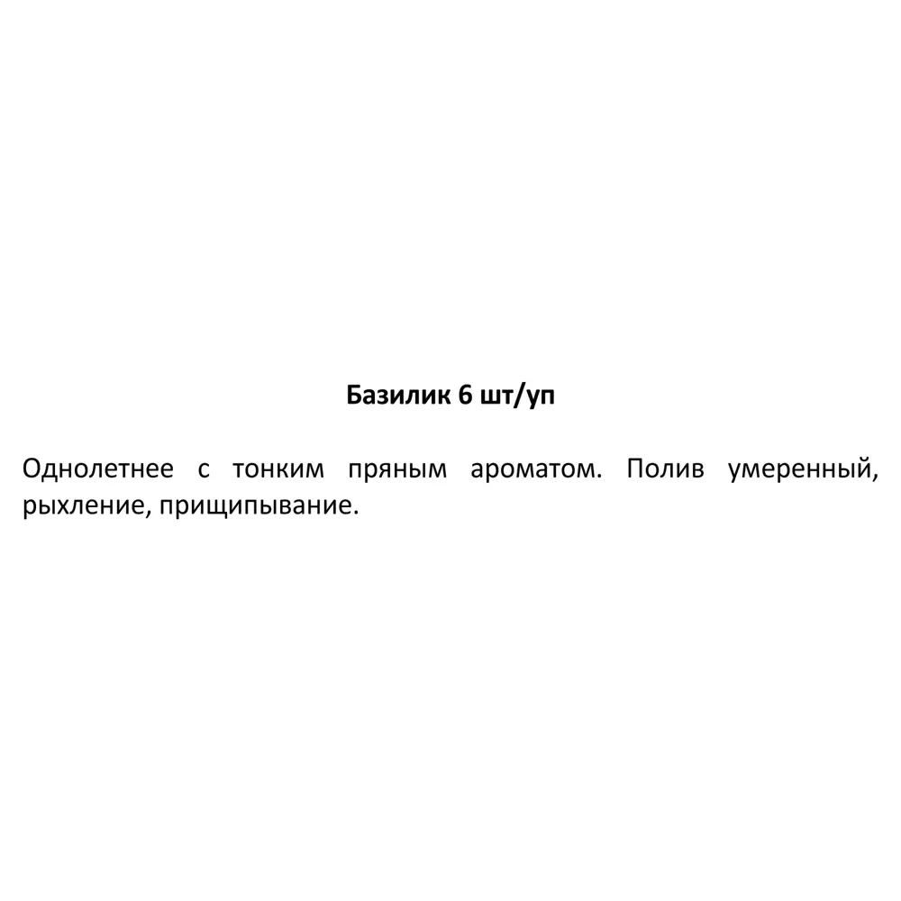 Рассада Базилик ø13 h15 см, 6 шт. 83248583 STLM-2004904 Santreyd  - Вид №2