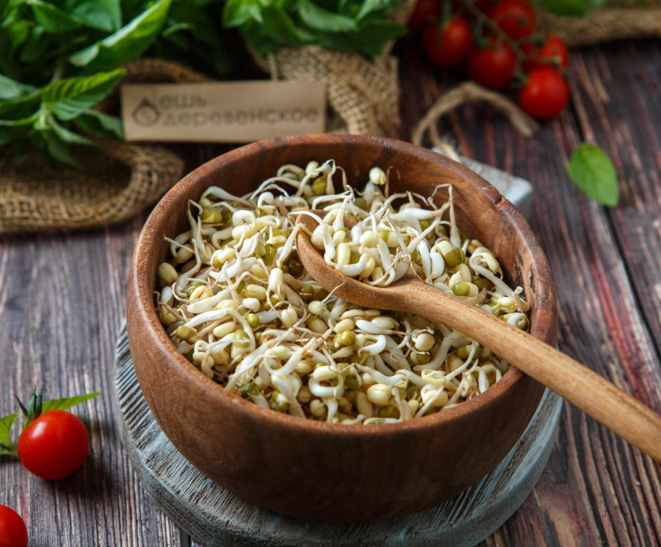 4995 Проростки Маша Вкусляндия  - Вид №1