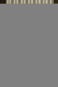 85337332 Тюль 1 м/п Нежность сетка 280 см цвет белый STLM-0061812 ELIT HOME