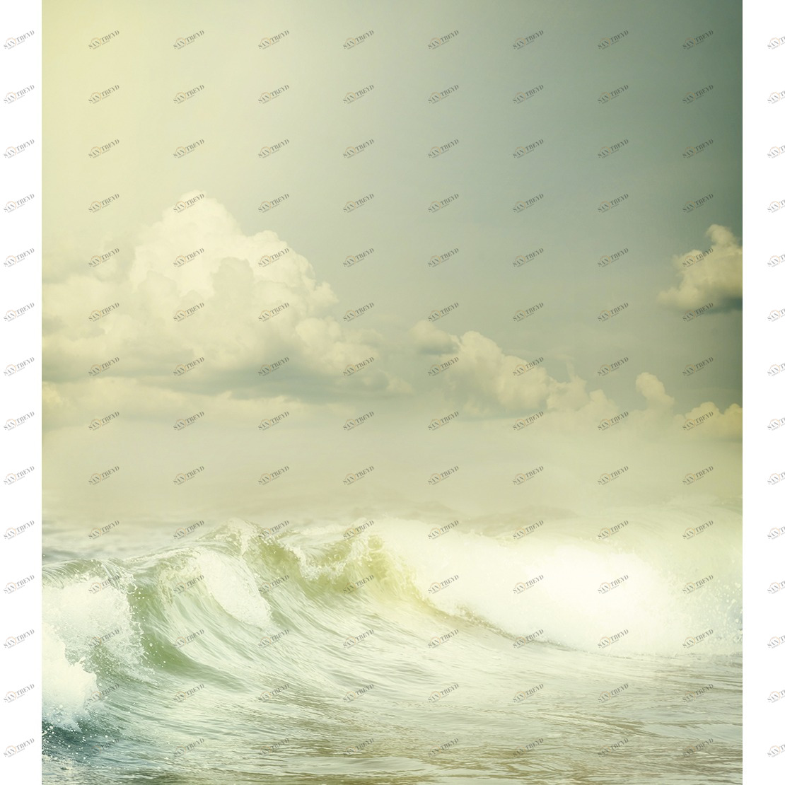 Рулон обоев SO WALL 2 SWL27336329. Основа нетканый материал Casadeco