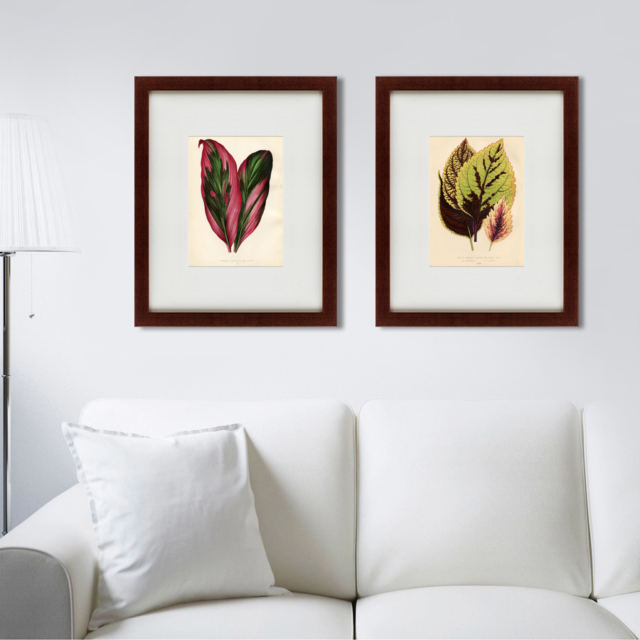 Литография на тонированной бумаге 42х52 см Botanical Leaf Dracaena, 1870 КАРТИНЫ В КВАРТИРУ  135657 Бежевый;белый;коричневый;разноцветный  - Вид №2