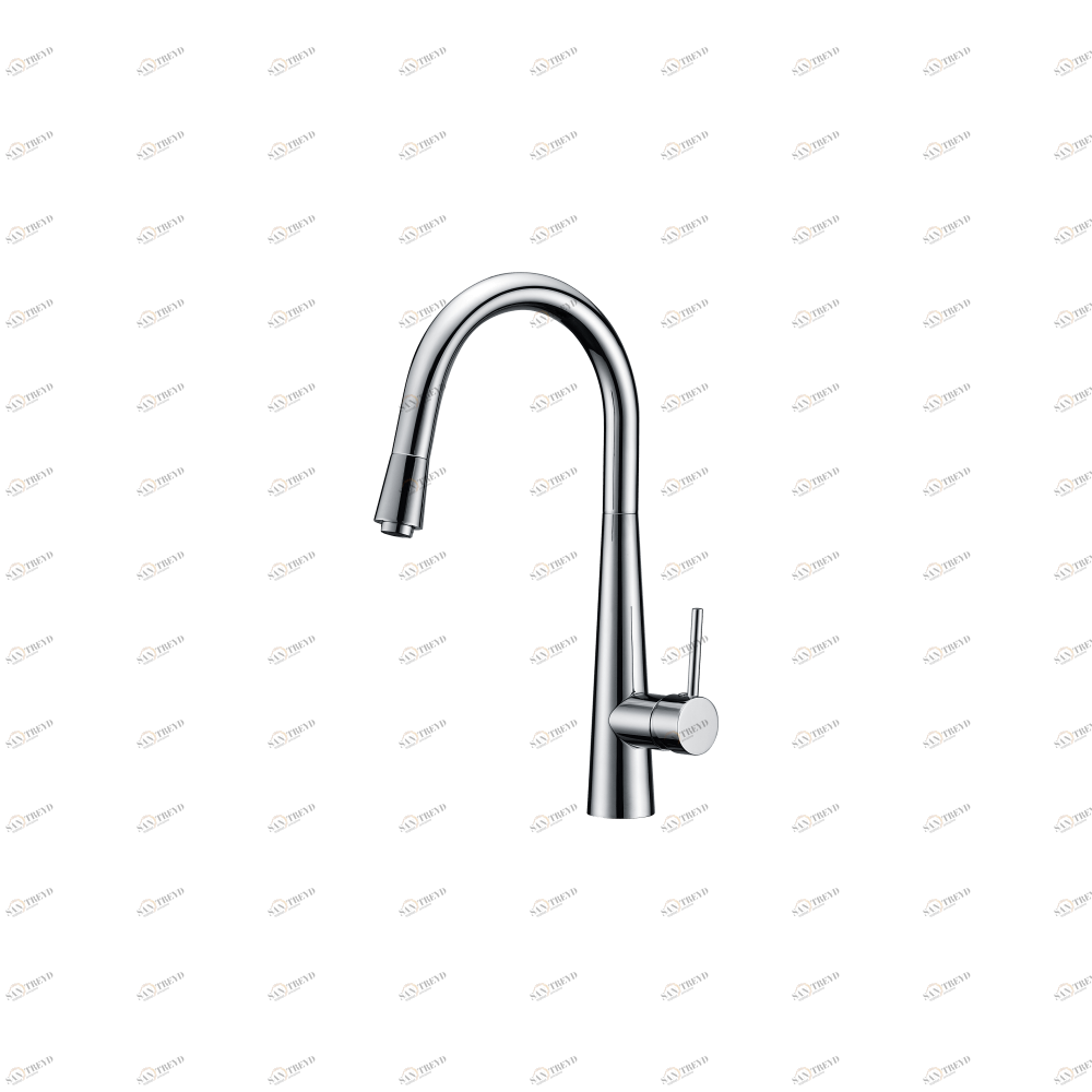 GZ 16022 Смеситель для кухни однорычажный Ganzer Хром Ganzer Германия 13975