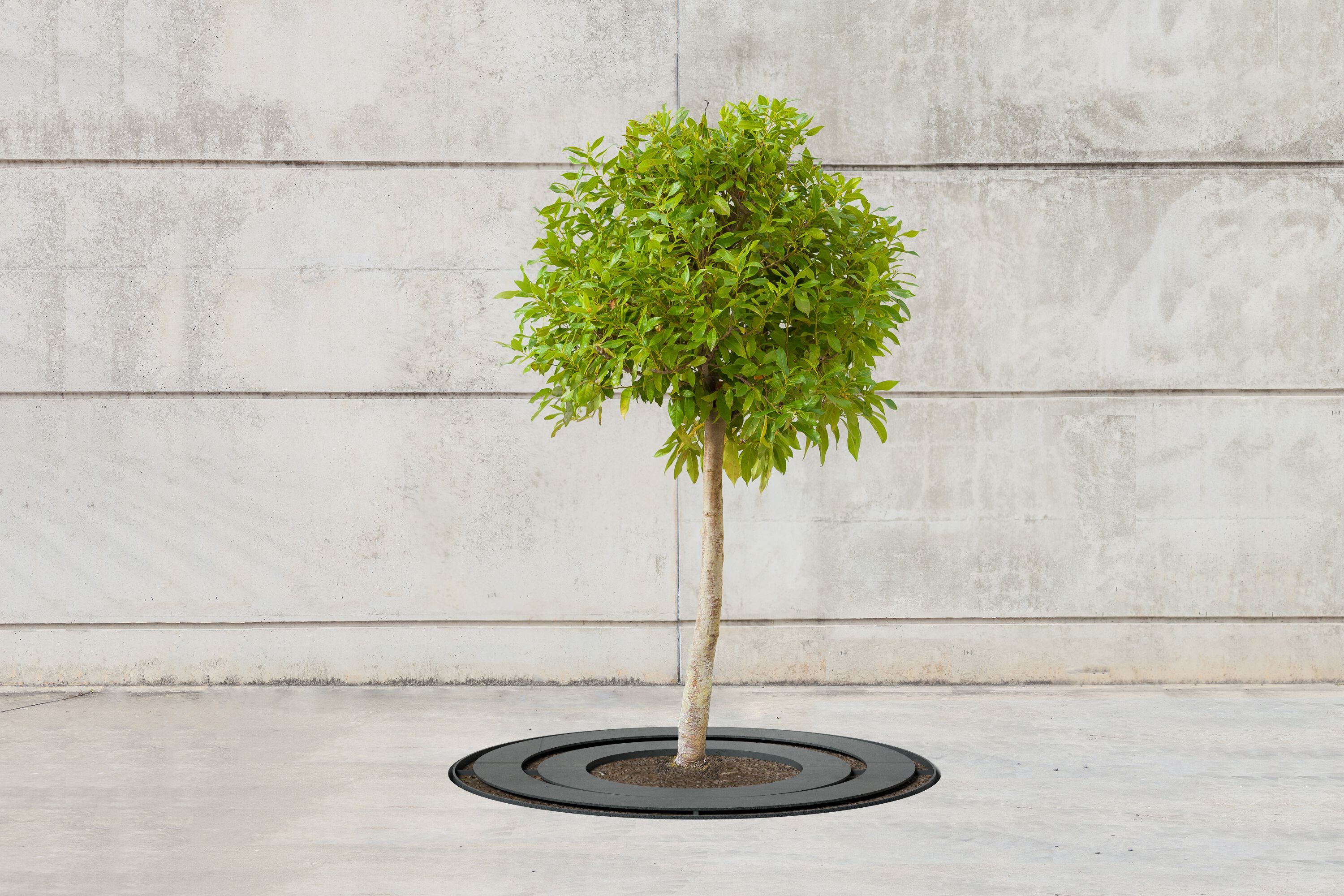 Металлическая решетка для деревьев SIT Сплит ARCH-00054130 - Вид №2