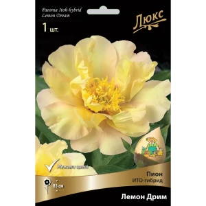 Пион ито-гибрид «Лемон Дрим» разбор 2-3 82661886 STLM-2122411