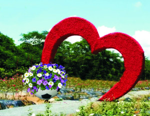 ASCM101-F.CF АРКА-Сердце с цветочницами Футбольный мяч, цветочница вертикального озеленения с термо-чашами LAB.Space