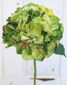 9901 883 a3 Гортензия искусственная, 40 см, зеленая H-andreas