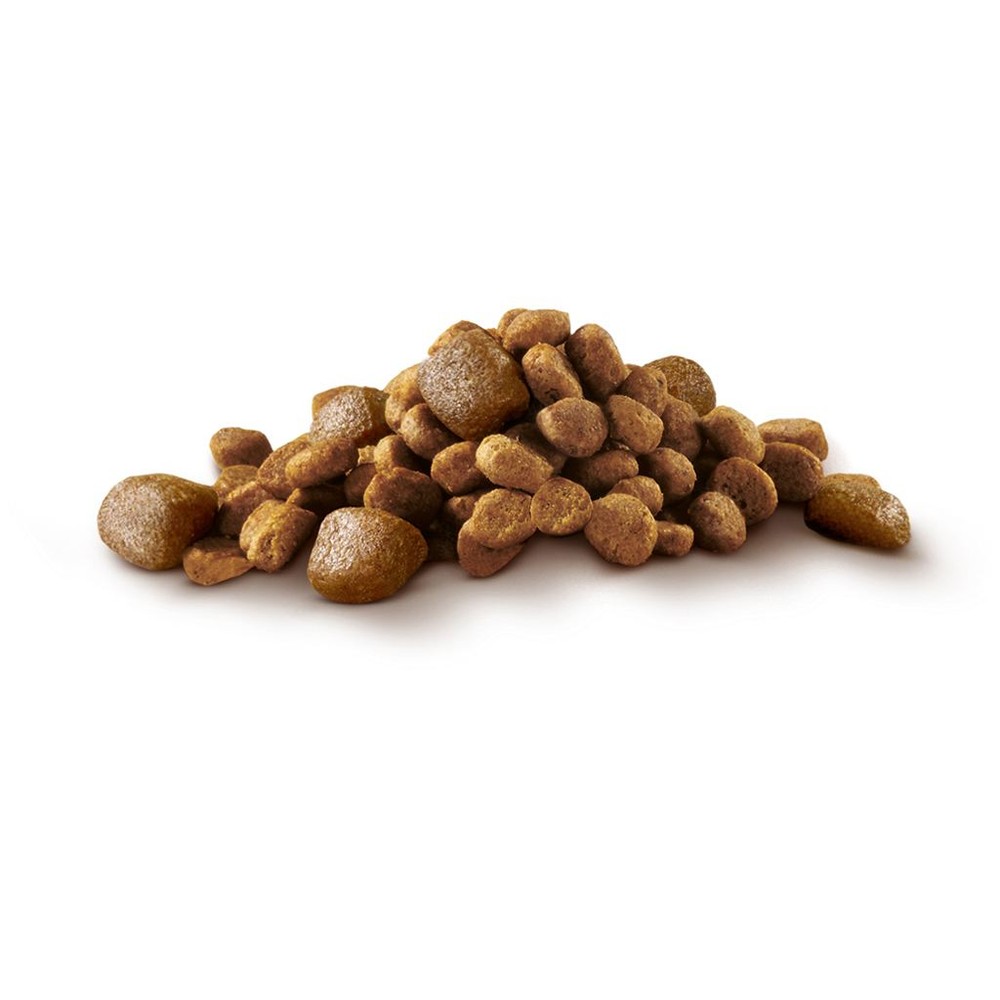 ПР0059693 Корм для собак для мелких пород, для активных, курица, рис сух. 1,5кг ONE  - Вид №7