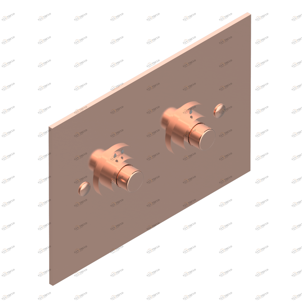 G00-219T WC Flush Plate compatible with TECE frame Thg-paris прочие артикулы THG Розовое золото G00-219T CAT.F