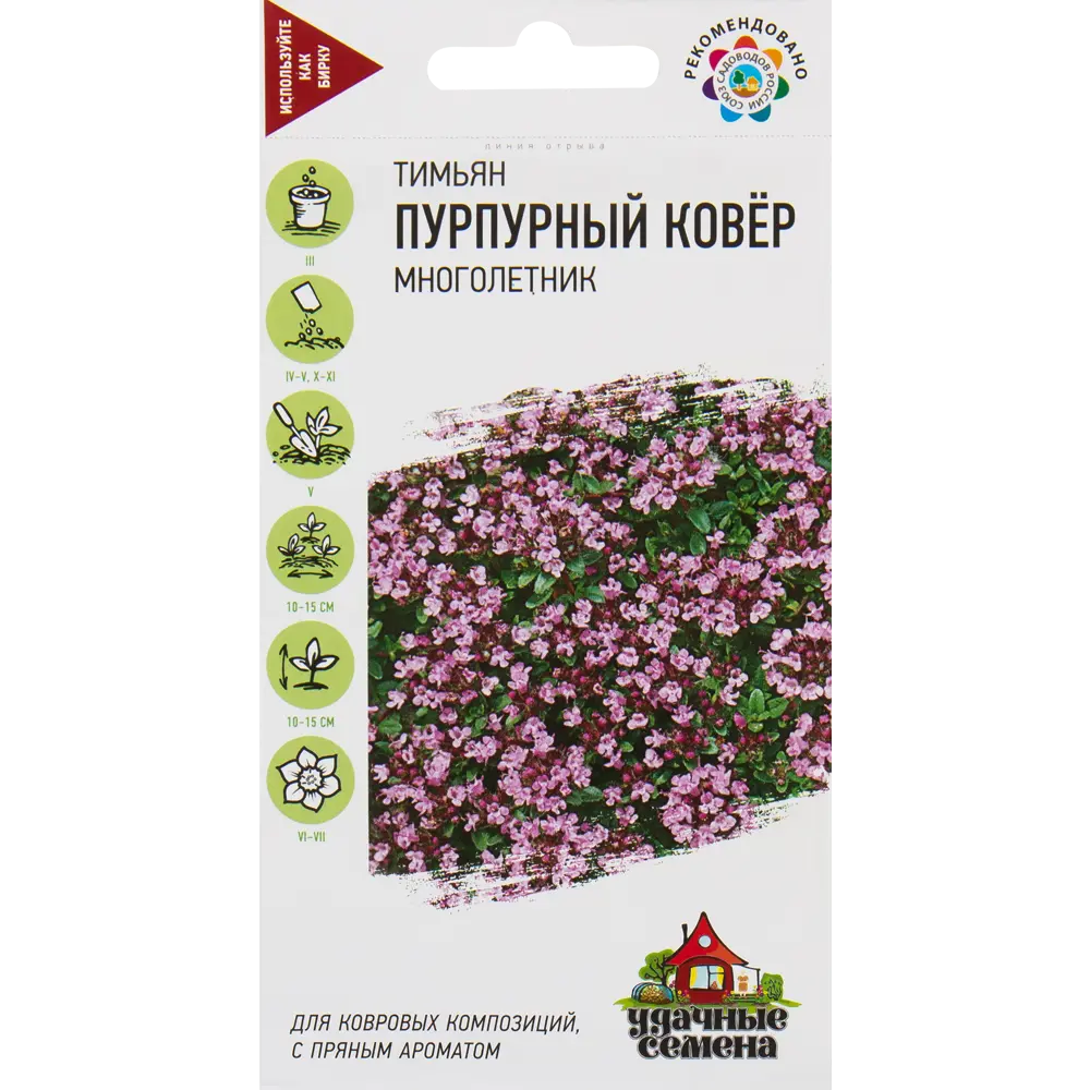 Семена Тимьян «Пурпурный ковёр» 0.05 г 82472701 STLM-2185671 ГАВРИШ 