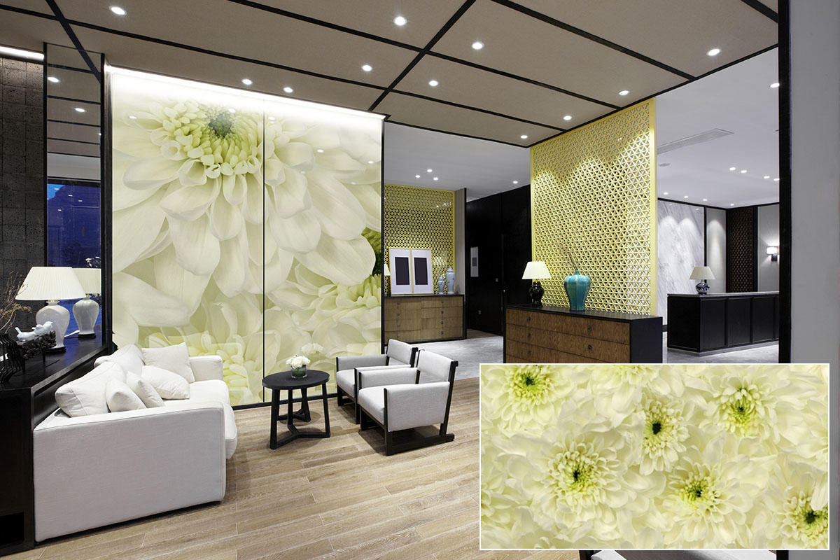 FSRT381 Зум-стекло vivispectra с прослойкой сакраменто горы  Forms-surfaces  - Вид №13