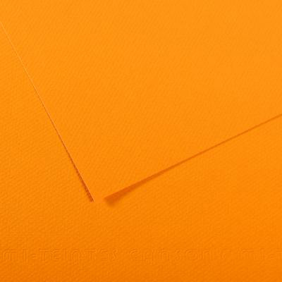 200321686 Бумага для пастели Mi-Teintes 160 г/м2 А4 21 х 29.7 см лист №553 глубоко желтый Canson 