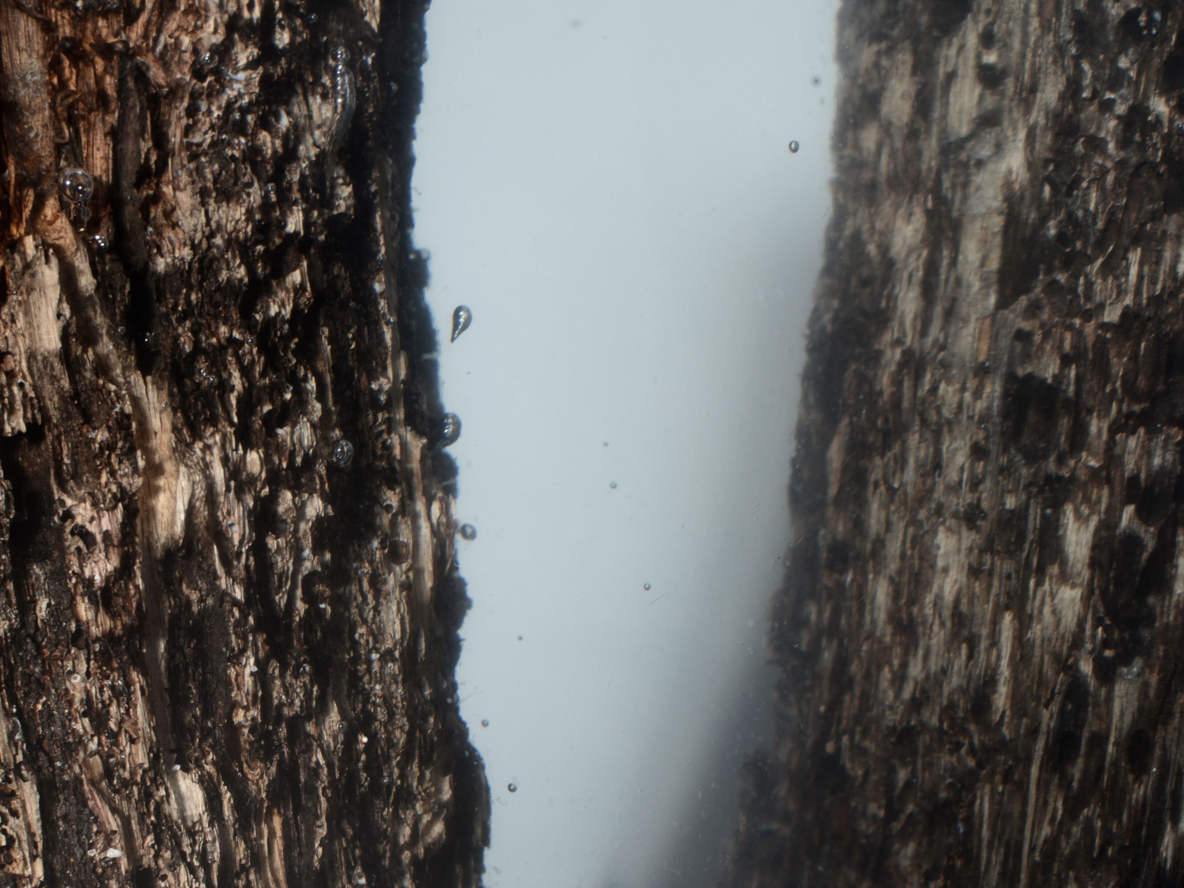 Табурет / журнальный столик из дуба и смолы alcarol Bricola ARCH-00008282 - Вид №8