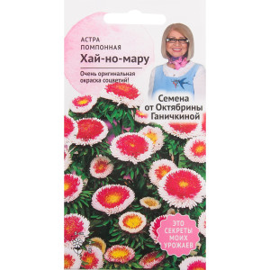82481589 Астра «Хай-но-мару» 0.1 г СЕМЕНА ОТ ОКТЯБРИНЫ ГАНИЧКИНОЙ STLM-0027963