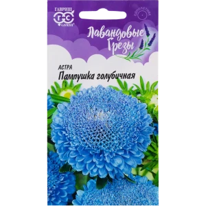 Астра «Пампушка голубичная» помпонная, 0.3 г 82097821 STLM-2064000