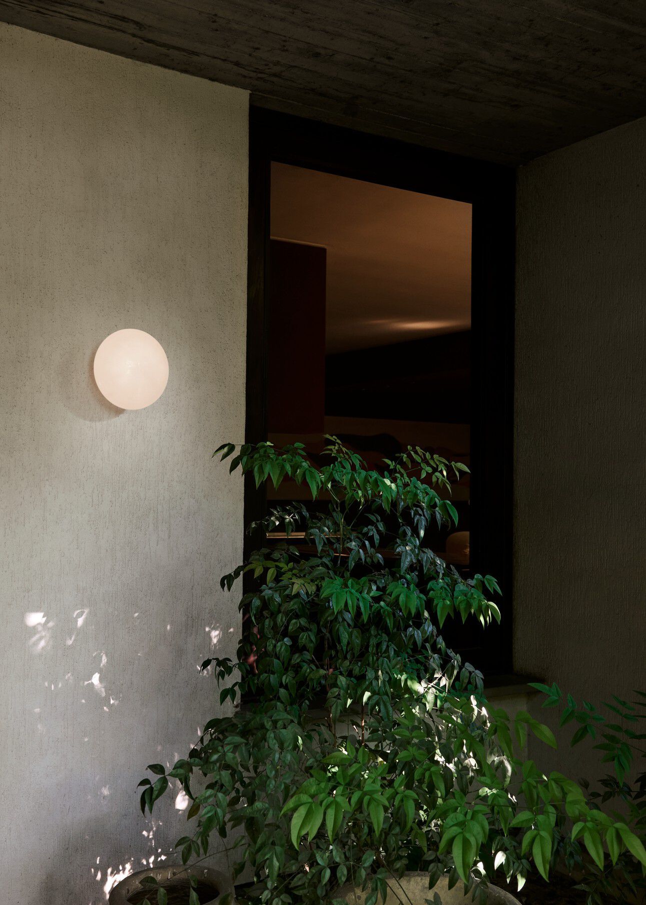 Настенный светильник / потолочный светильник из дутого стекла &Tradition Mist ARCH-00149301 - Вид №6