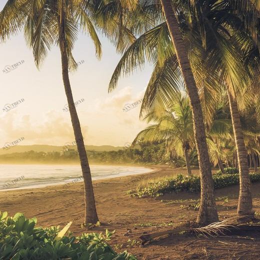 SH064-VD4-Golden-Lands Фотообои Komar Stefan Hefele 2.5х4 м SH064VD4GOLDENLANDS