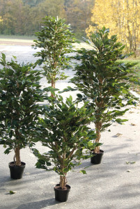 4950 883 a3 Искусственный фикус, 504 листа, в горшке, 90 см, зеленый H-andreas