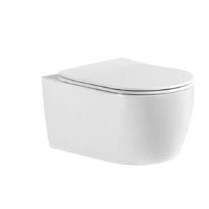 90983813 Унитаз подвесной Aquatek AQ1106-00 с сиденьем микролифт STLM-1396296