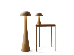 Липа настольная лампа / торшер