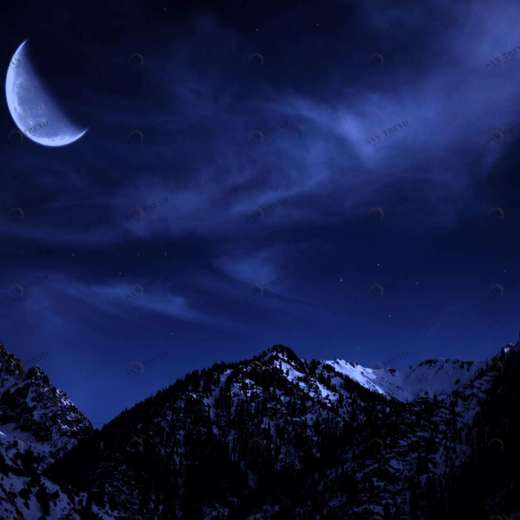 WP00115 Фотообои Verol Фотообои decoline 1х1 м