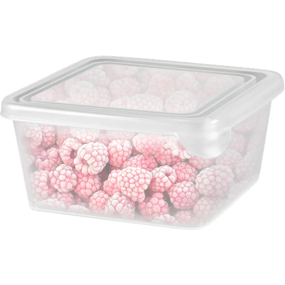 Емкость для заморозки Plast Team 0.45 л пластик цвет прозрачный 3 шт STLM-2171461 - Вид №1