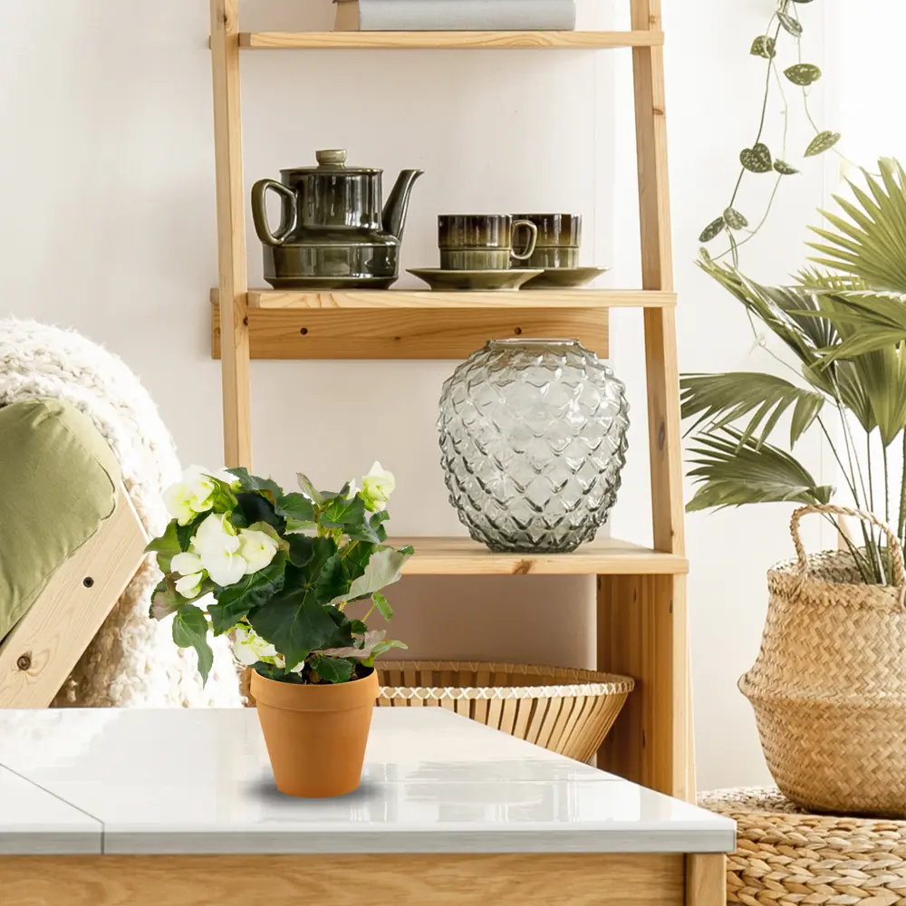 Santreyd — Терракотовый горшок для цветов с пористой структурой 82794838 Стандарт STLM-0035944 - Вид №1