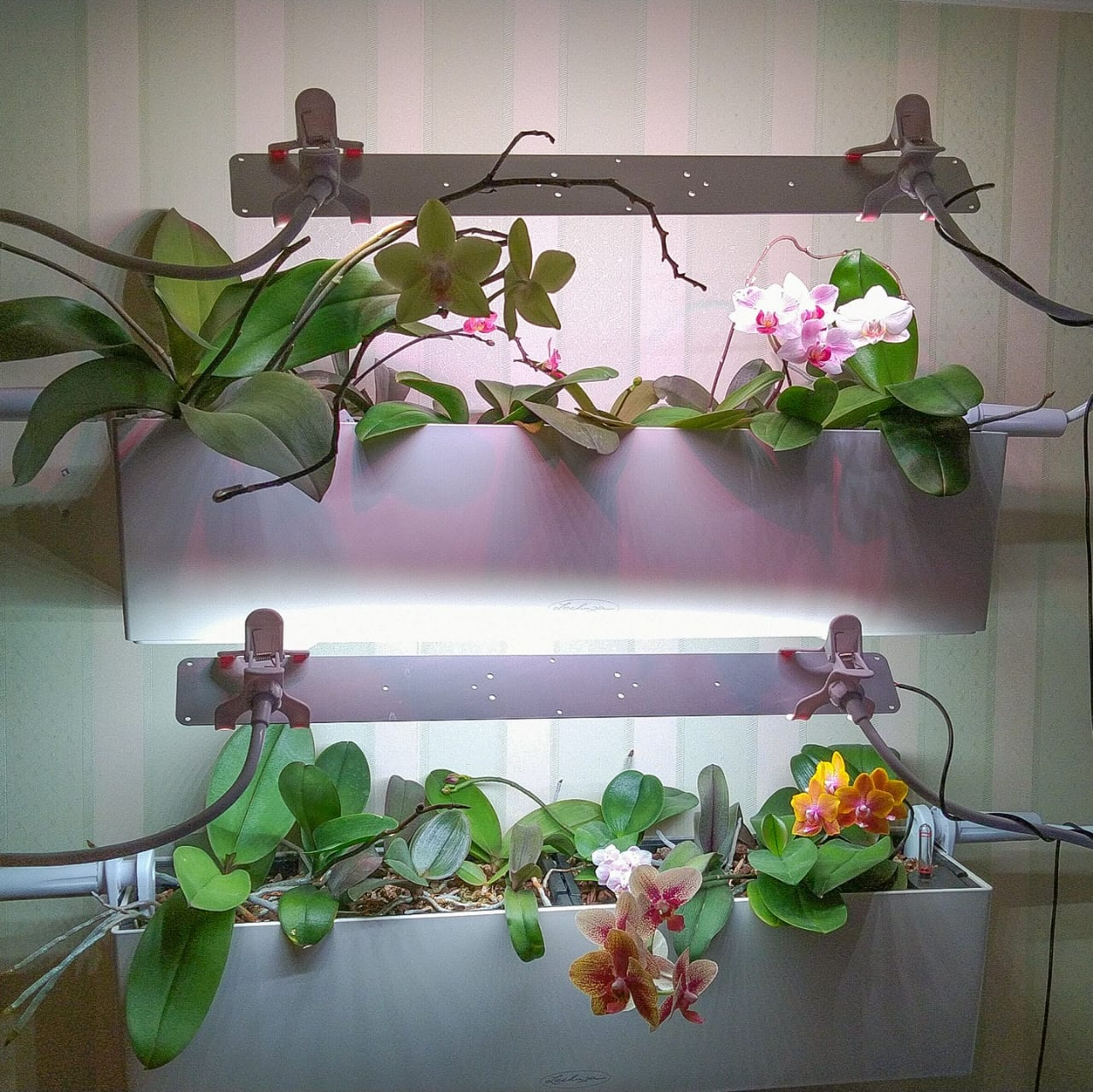 3553 Комплект Quantum line 115 см LAB.Space  - Вид №12