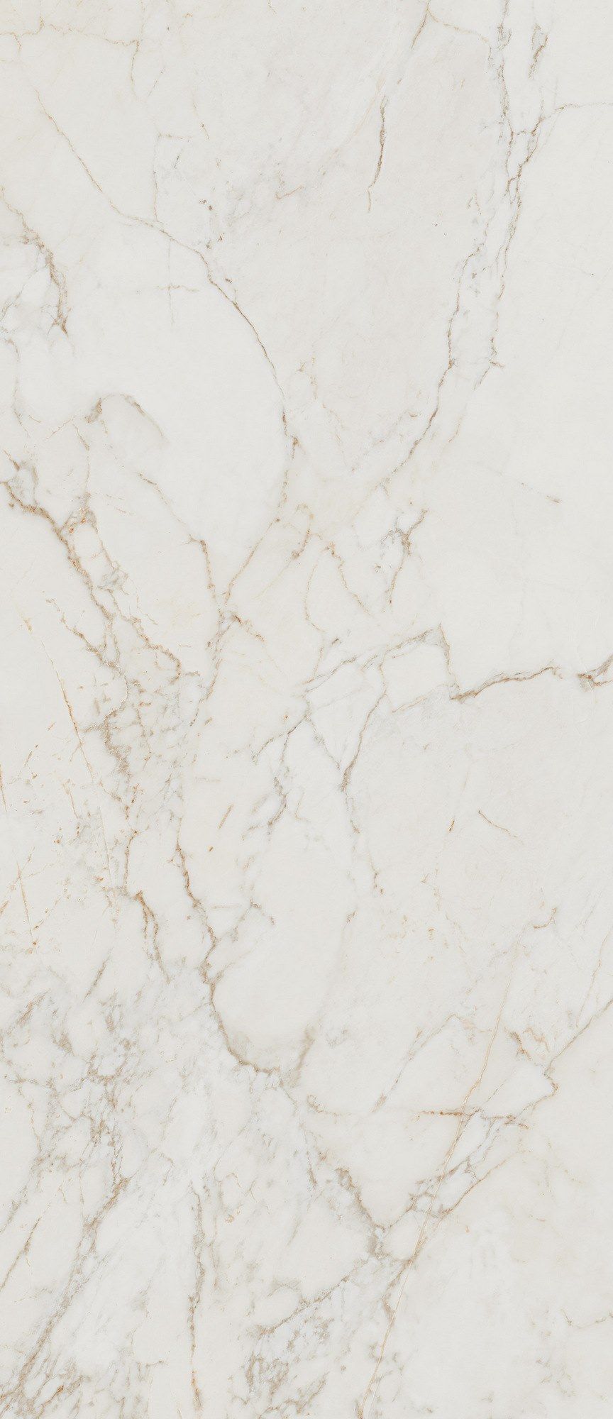 Пол / керамогранит с мраморным эффектом FAP ceramiche Roma Gold ARCH-00044009 - Вид №121