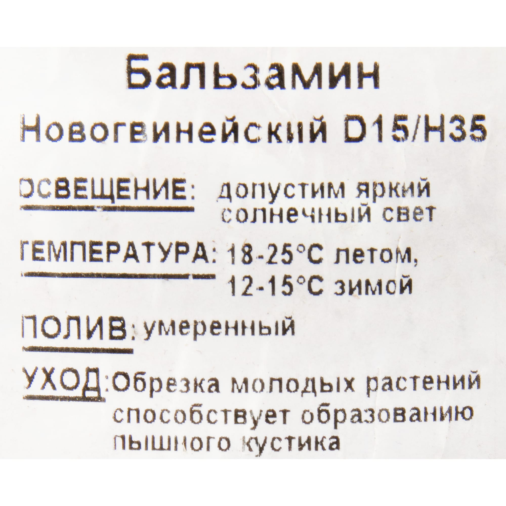 12510702 Бальзамин новогвинейский 15х35 см Santreyd  - Вид №2