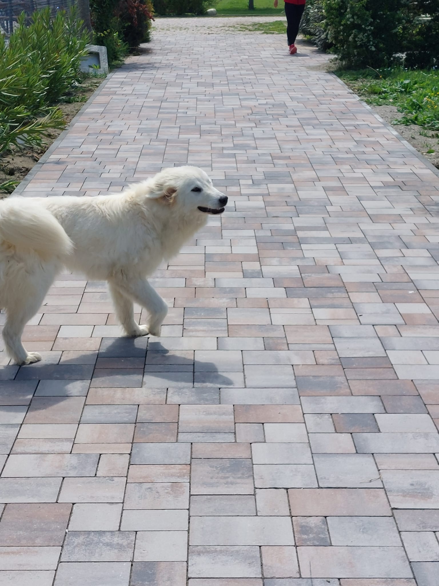 Твердый самоблокирующийся бетон Tegolaia BASALTINA MOVE 6 ARCH-00051072 - Вид №5