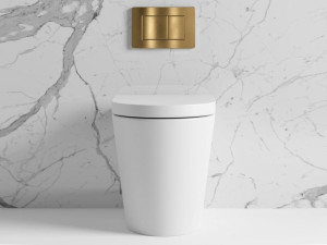 Керамический напольный туалет с пластиной и сливной кассетой