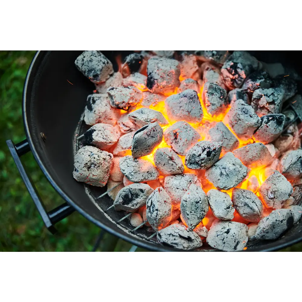 Уголь брикетированный Fire Wood 6 л 86514763 STLM-2180953 Santreyd  - Вид №11