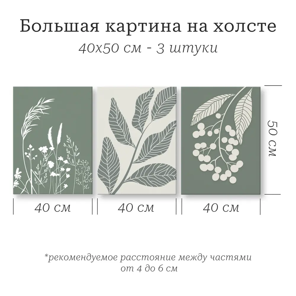 Santreyd Ботаника - модульная картина из 3 частей 40x50 см 89394673 STLM-1442878 - Вид №1