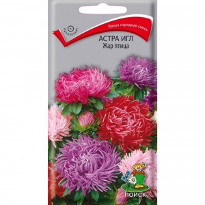 83227373 Семена Астра игл «Жар-Птица»