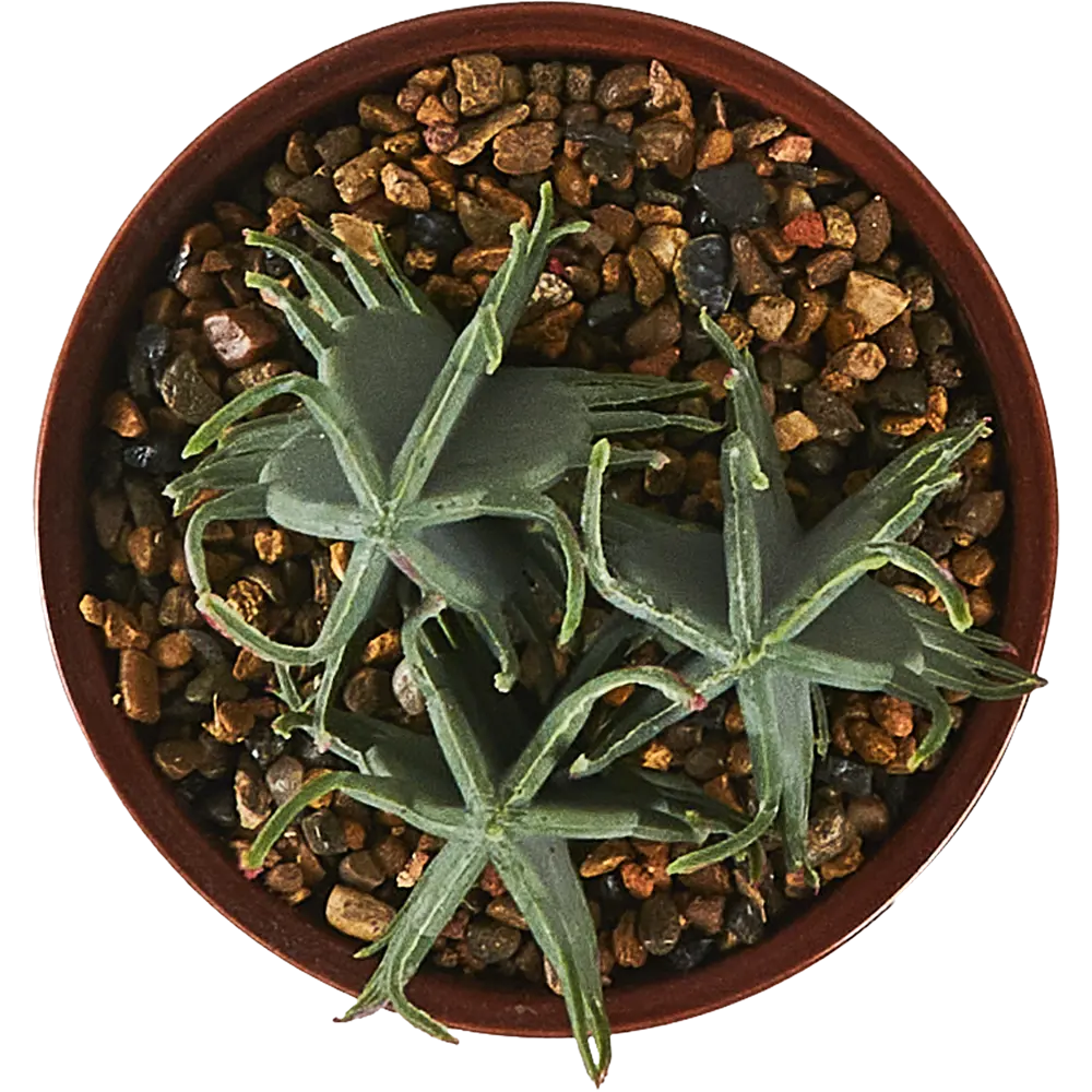 Искусственное растение Atmosphera BX 19.5 см STLM-2097390 - Вид №1