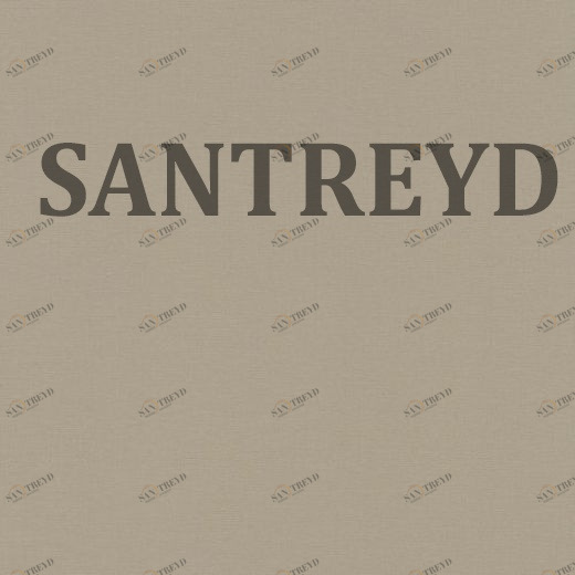 517057 Обои Rasch Palace