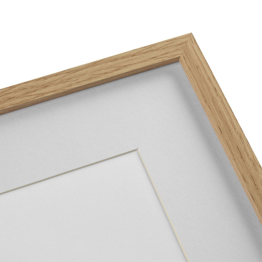 Картина в раме 52х42 см Assorted Beetles №11, 1735г. КАРТИНЫ В КВАРТИРУ  264416 Бежевый;коричневый  - Вид №3