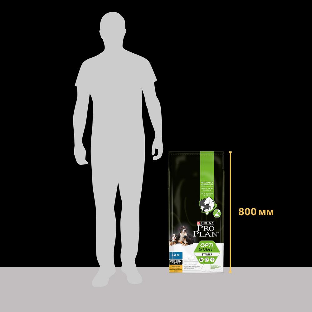 ПР0059703 Корм для щенков Starter для крупных пород, курица сух. 12кг Pro Plan  - Вид №6