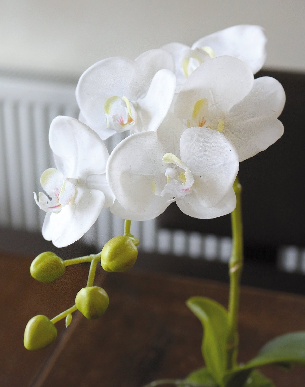 2855 777 a3 Пластиковая орхидея Phalaenopsis с 'почвой', 43 см, real touch, белая H-andreas  - Вид №2