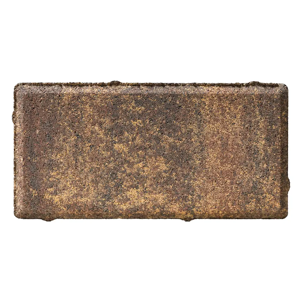 BRAER Плитка тротуарная Мальва 200x100 мм - яркий акцент для садовых дорожек 82770033 STLM-0035753